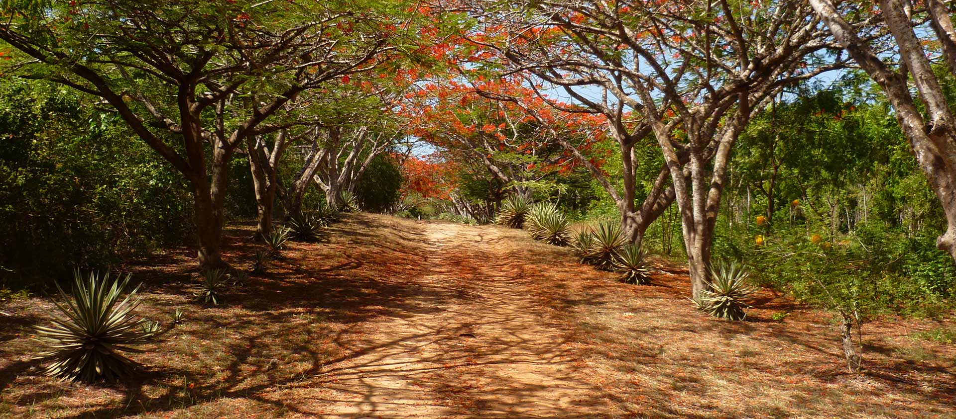 REAL KENYAN HOME