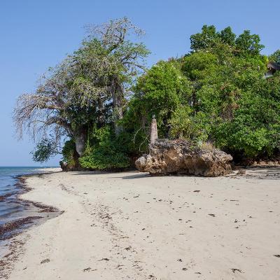 Mdoroni House Coastal Kenya Beach Sand