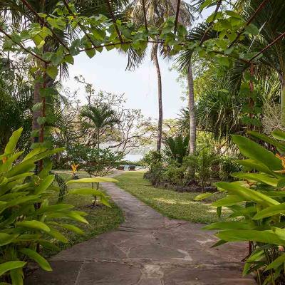 Mdoroni House Coastal Kenya Strelitzia Garden